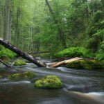 வந்த துன்பம் எதுவென்றாலும் வாடி நின்றால் ஓடுவதில்லை!