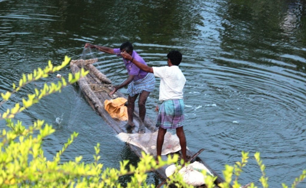அலையாத்திக் காடுகளை உருவாக்கும் விதைகள்! 3 அலையாத்திக் காடுகளை உருவாக்கும் விதைகள்!