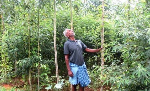 இயற்கை விவசாயம் - சாதித்த ஆசிரியர்! 2 இயற்கை விவசாயம்