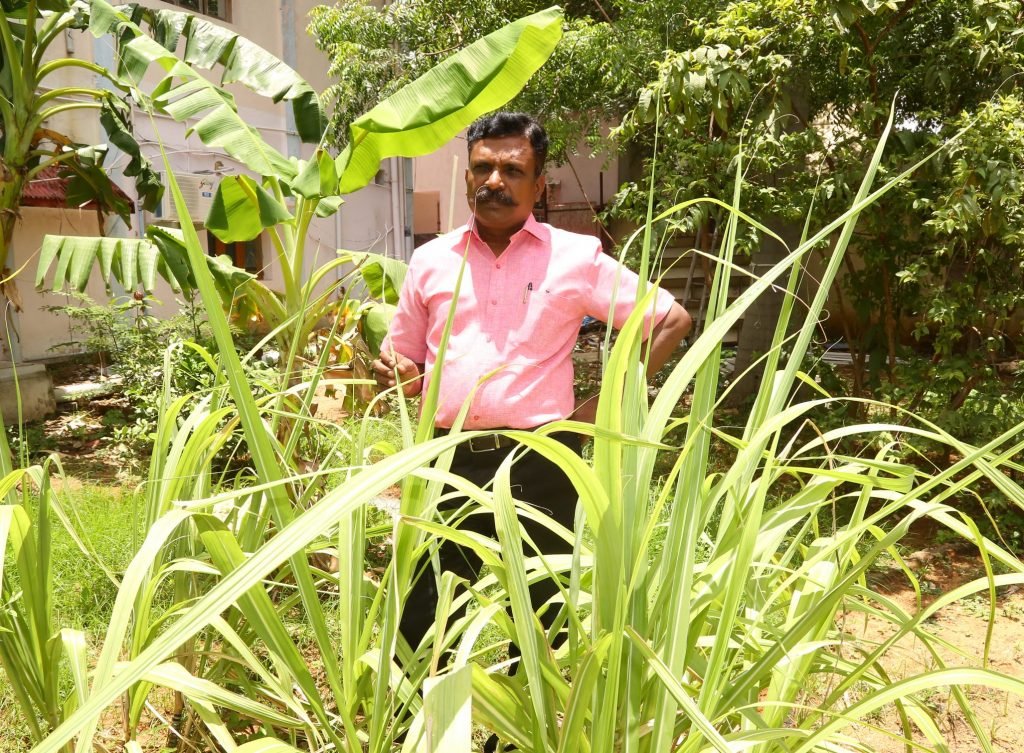 “நிலம் வாங்கி விவசாயம் செய்ய ஆசை!” 3 “நிலம் வாங்கி விவசாயம் செய்ய ஆசை!”