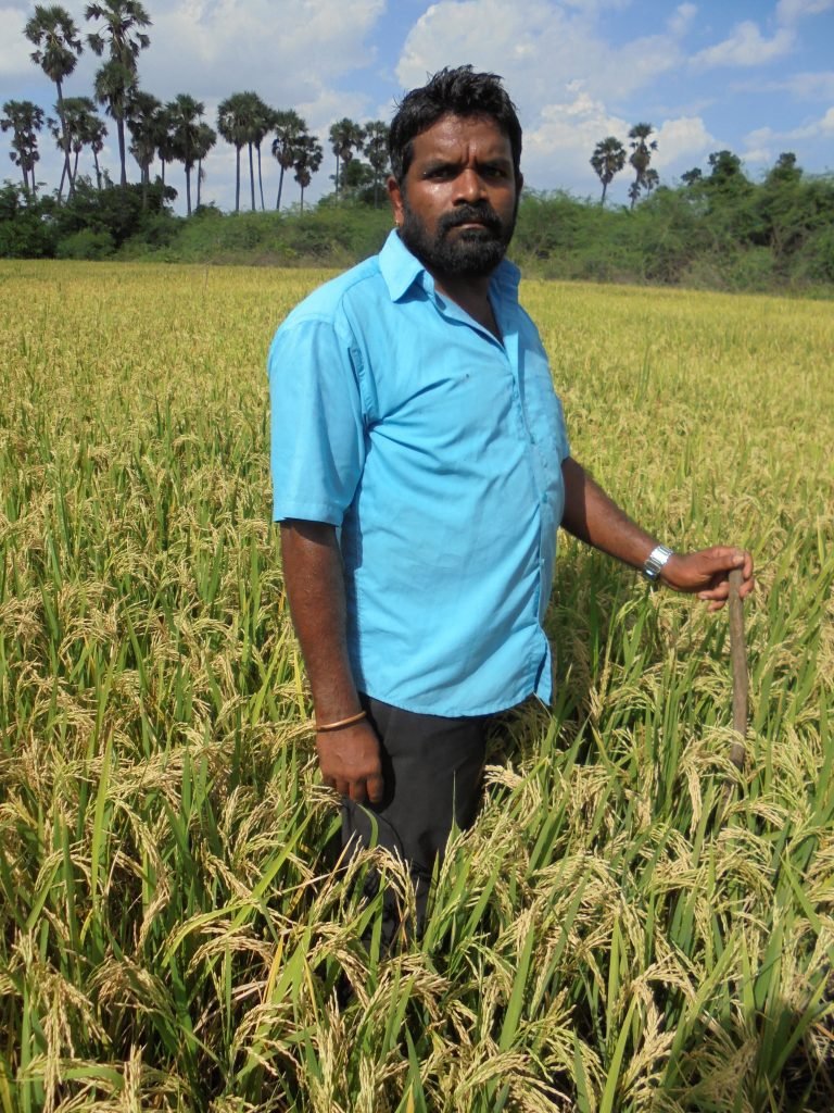 இவர்கள் தான் விவசாயத்தின் வேர்கள்!