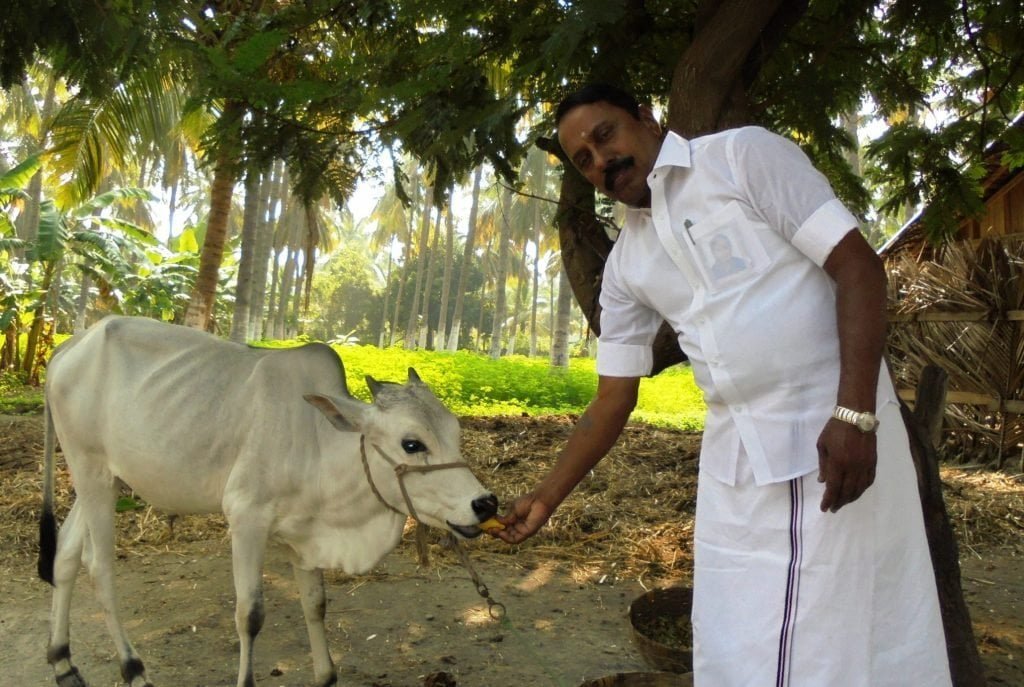 தோட்டமே எனக்கான தியான மண்டபம்! - விவசாய வாழ்க்கையை விளக்கும் செங்கோட்டையன்!