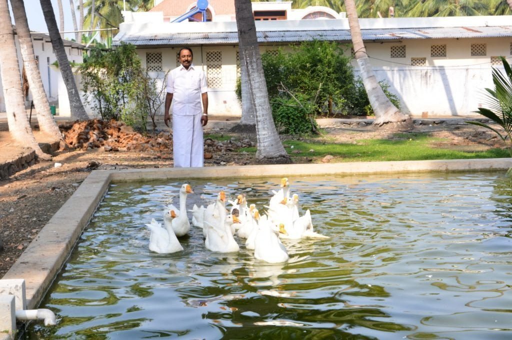 தோட்டமே எனக்கான தியான மண்டபம்! - விவசாய வாழ்க்கையை விளக்கும் செங்கோட்டையன்!