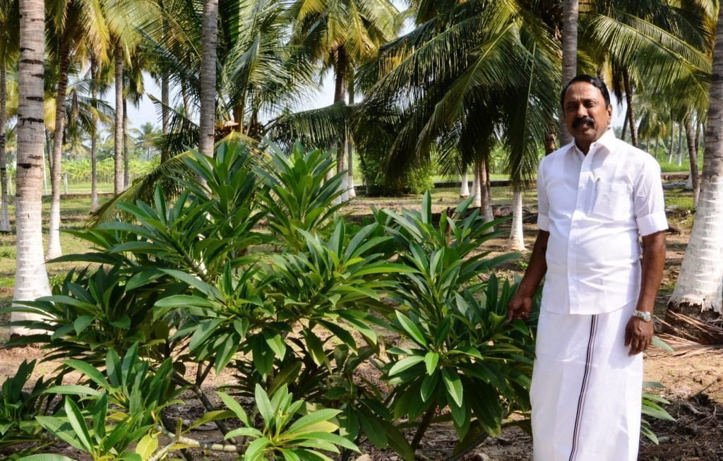 தோட்டமே எனக்கான தியான மண்டபம்! - விவசாய வாழ்க்கையை விளக்கும் செங்கோட்டையன்!