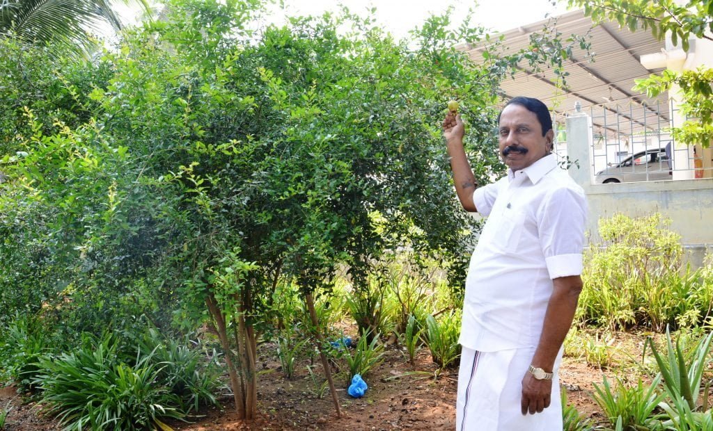 தோட்டமே எனக்கான தியான மண்டபம்! - விவசாய வாழ்க்கையை விளக்கும் செங்கோட்டையன்!