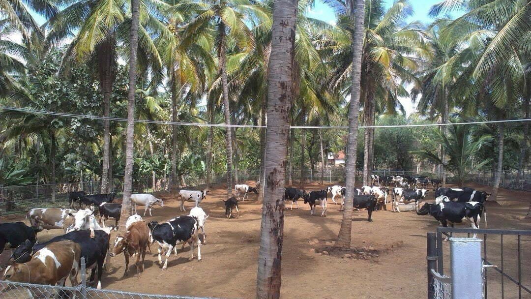 உழவர்களைக் கரை சேர்க்கும் கலப்புப் பண்ணையம்!