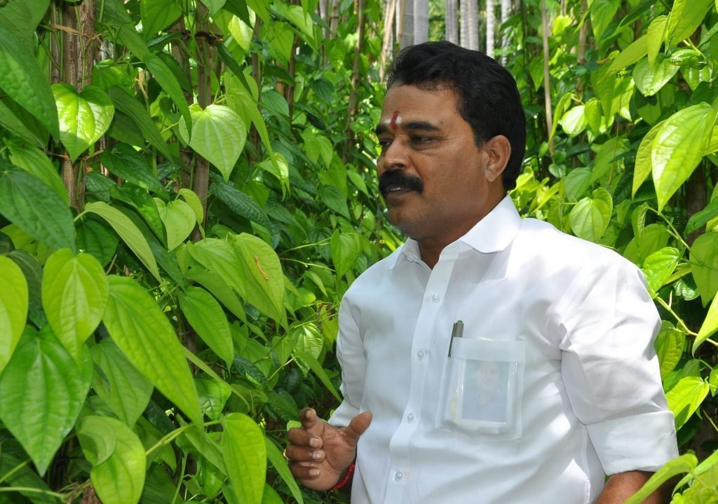 சக்தி மிகுந்த சாமிக்காளை! - மாநிலக் கூட்டுறவு வங்கித் தலைவர் இளங்கோவன் நெகிழ்ச்சி! 2 சக்தி மிகுந்த சாமிக்காளை! - மாநிலக் கூட்டுறவு வங்கித் தலைவர் இளங்கோவன் நெகிழ்ச்சி!