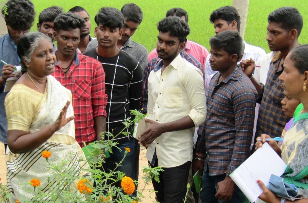 தஞ்சாவூர் வேளாண்மை ஆராய்ச்சி நிலையம்!