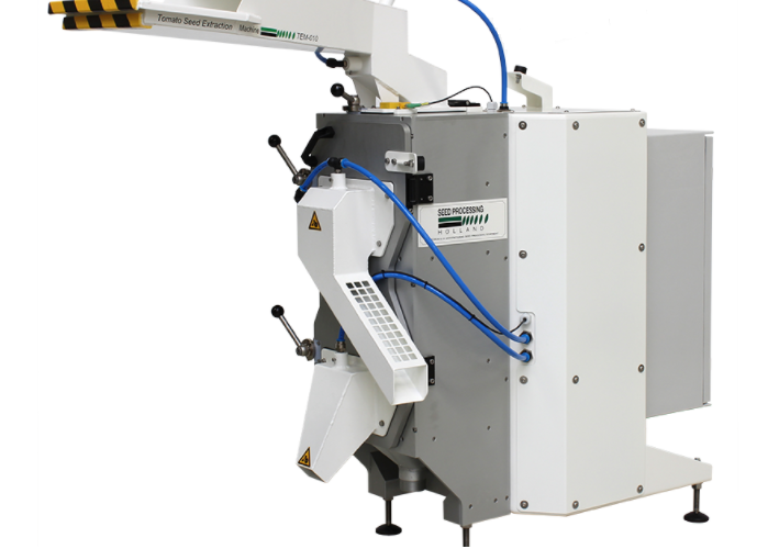 தக்காளி விதை