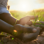 மண்வளம்