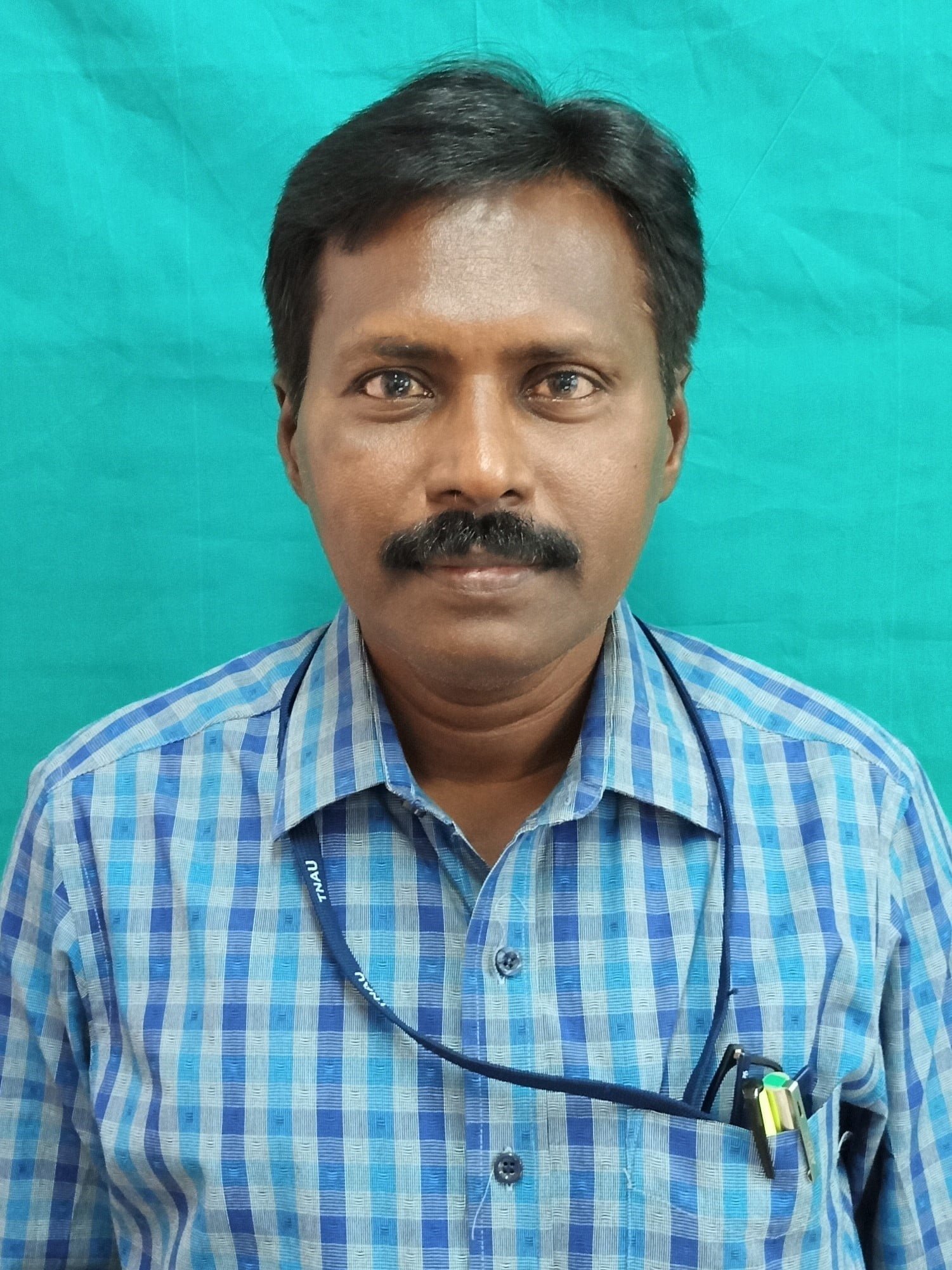 பெரியகுளம்-2 கொடுக்காய்ப்புளி சாகுபடி!