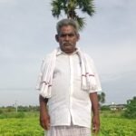 நிலக்கடலை