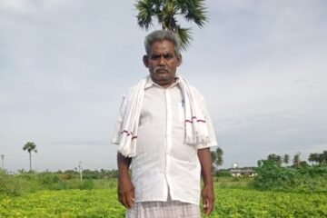 நிலக்கடலைக்கு ஜிப்சம் போட்டா சோடையில்லாம வெளையும்ங்க!