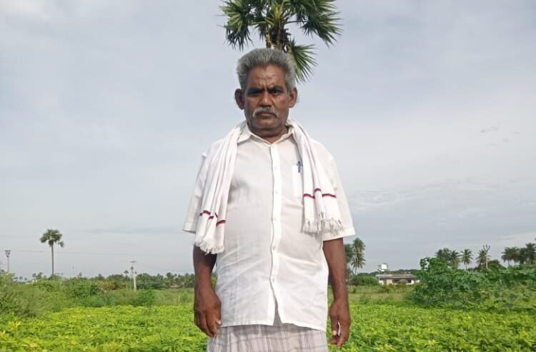 நிலக்கடலை