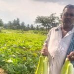 சுரைக்காய் சாகுபடி - அனுபவத்தைப் பகிரும் அன்னூர் விவசாயி!