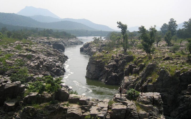 மீண்டும் துளிர்க்கும் இயற்கை! 1 மீண்டும் துளிர்க்கும் இயற்கை!