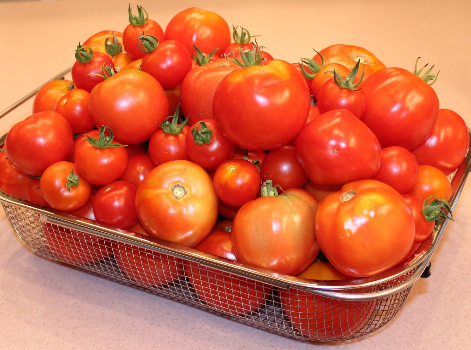 தக்காளிப் பொருள்கள்!