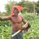 திருந்திய நெல் சாகுபடி