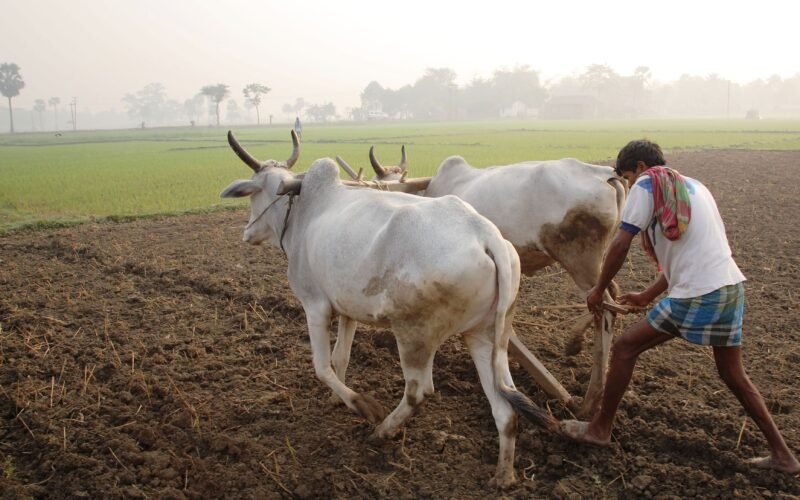 சுற்றுச்சூழலைக் காக்கும் வேளாண் விரிவாக்கம்! 1 வேளாண்