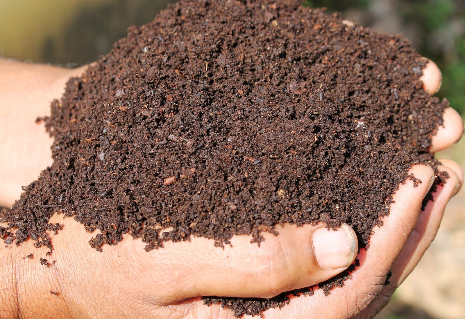 மண்புழு