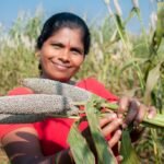 சிறுதானிய உணவு