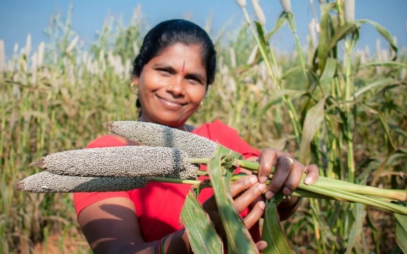 சிறுதானிய உணவுகளும் அவற்றின் பயன்களும்! 1 சிறுதானிய உணவு