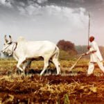 விவசாயப் பழமொழிகள் - பகுதி 4