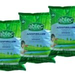 எண்ணெய்ப் பயிர்