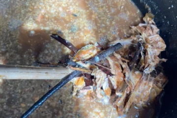 மீன் கழிவை உரமாக மாற்றுவது எப்படி?