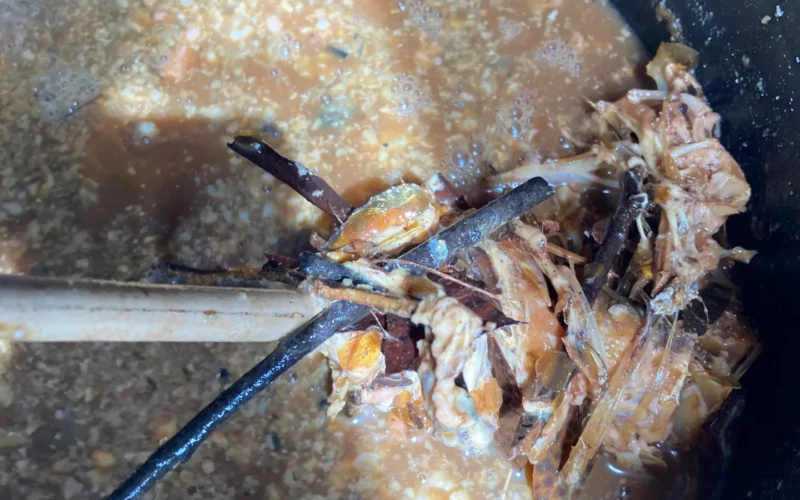 மீன் கழிவுகள்: உரமாக மாற்றுவது எப்படி?