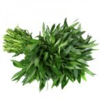 பொன்னாங் கண்ணி