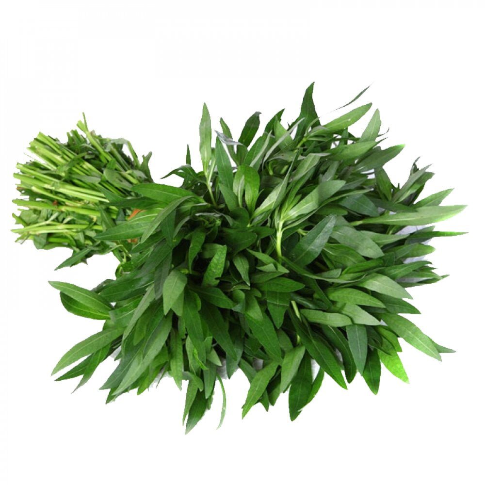 பொன்னாங் கண்ணி