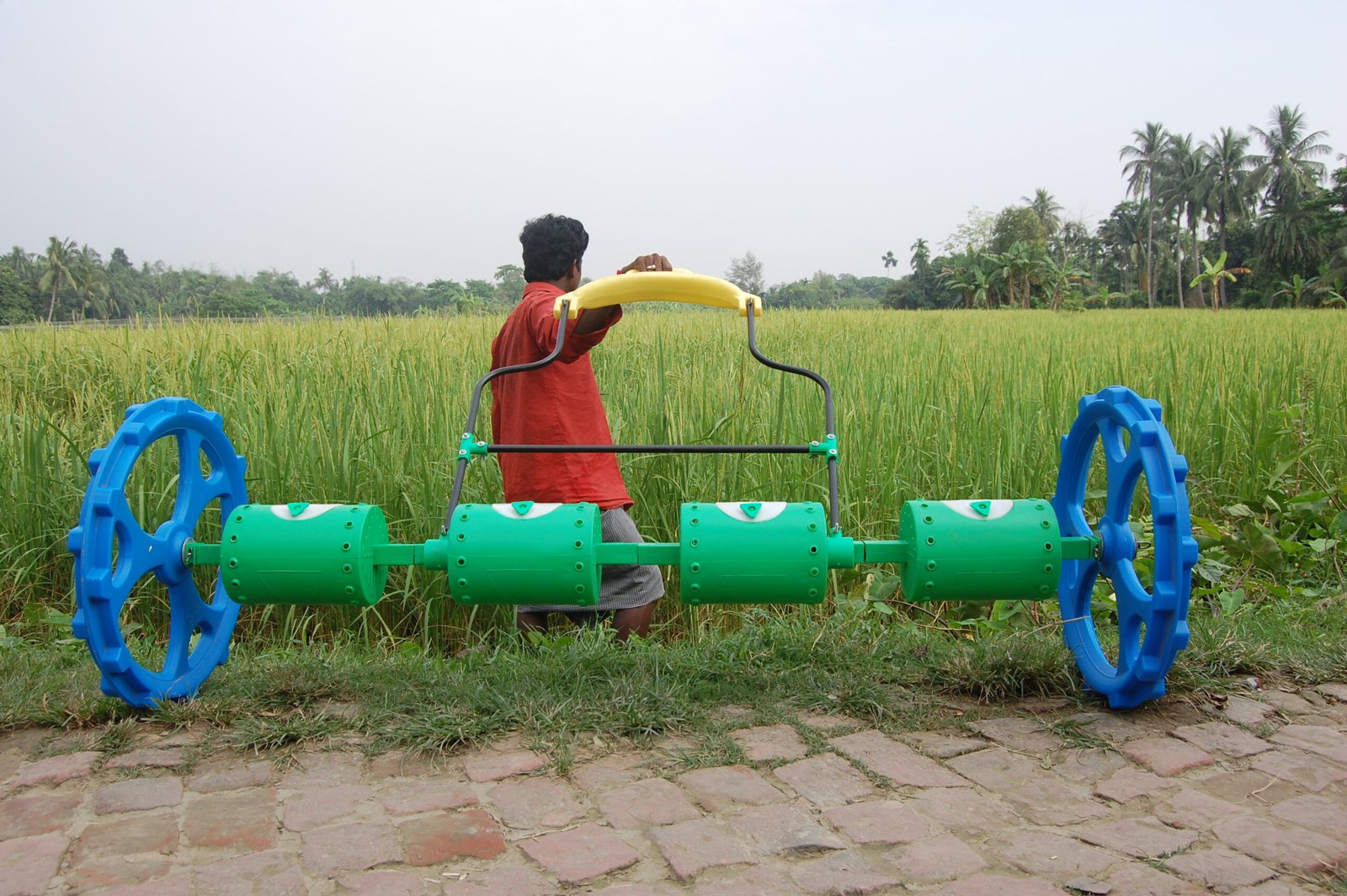 நெல் சாகுபடி