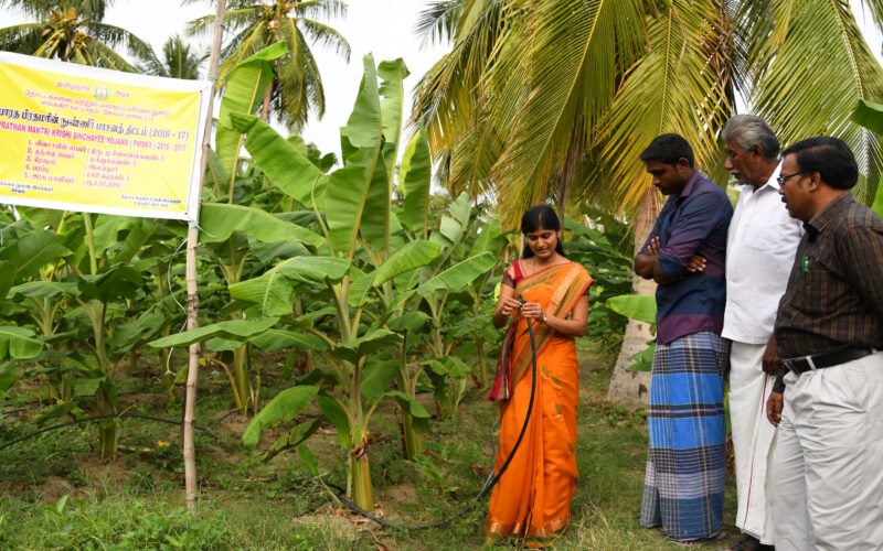 நுண்ணீர்ப் பாசனத் திட்டம்