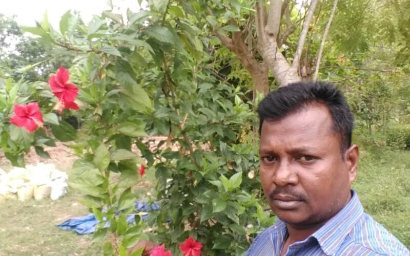 ஒரு கிலோ செம்பருத்திப்பூ முந்நூறு ரூவா!