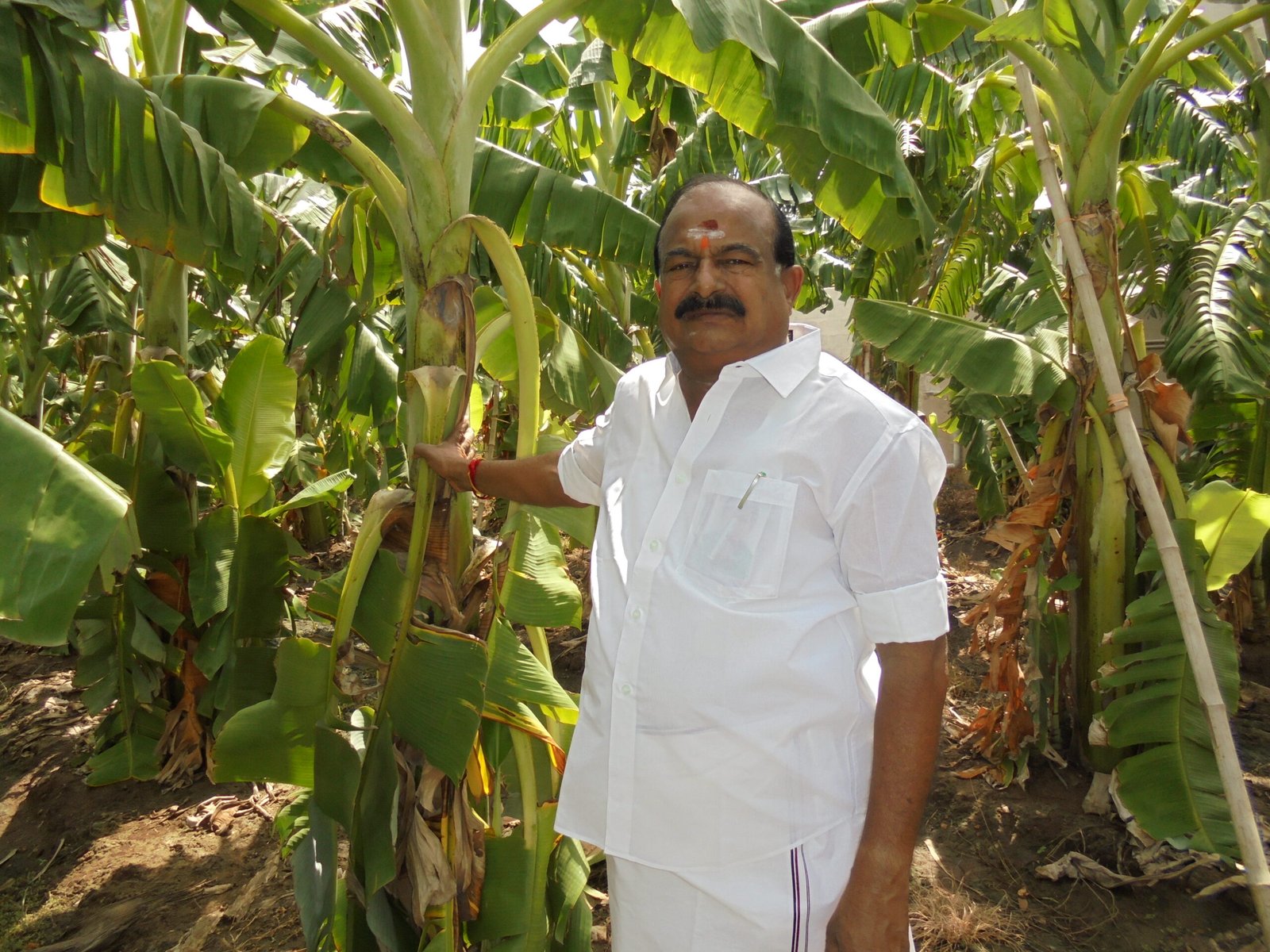 விவசாயக் குடும்பம்