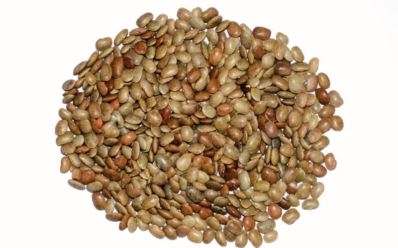 கொள்ளு என்னும் கானப்பயறின் நன்மைகள்! 1 கொள்ளு