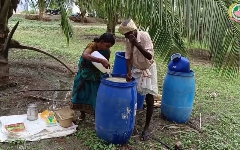 கோகோகான் இனப் பெருக்கமும் உபயோகமும்! (Cococon) 1 கோகோகான் இனப் பெருக்கமும் உபயோகமும்! (Cococon)