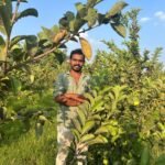 விவசாயம்