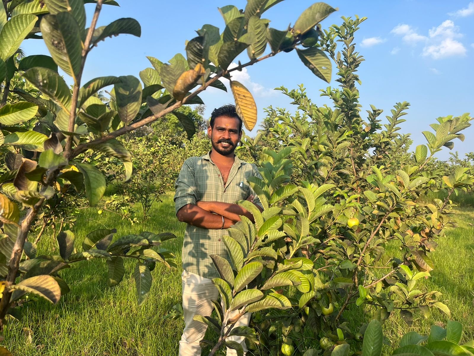 விவசாயம்