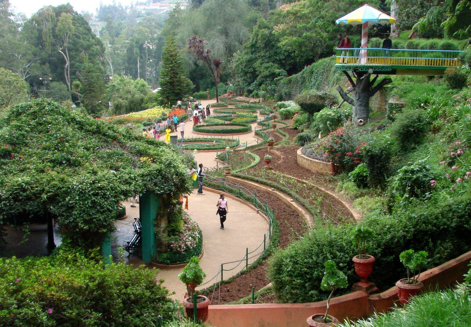 தோட்டக்கலை