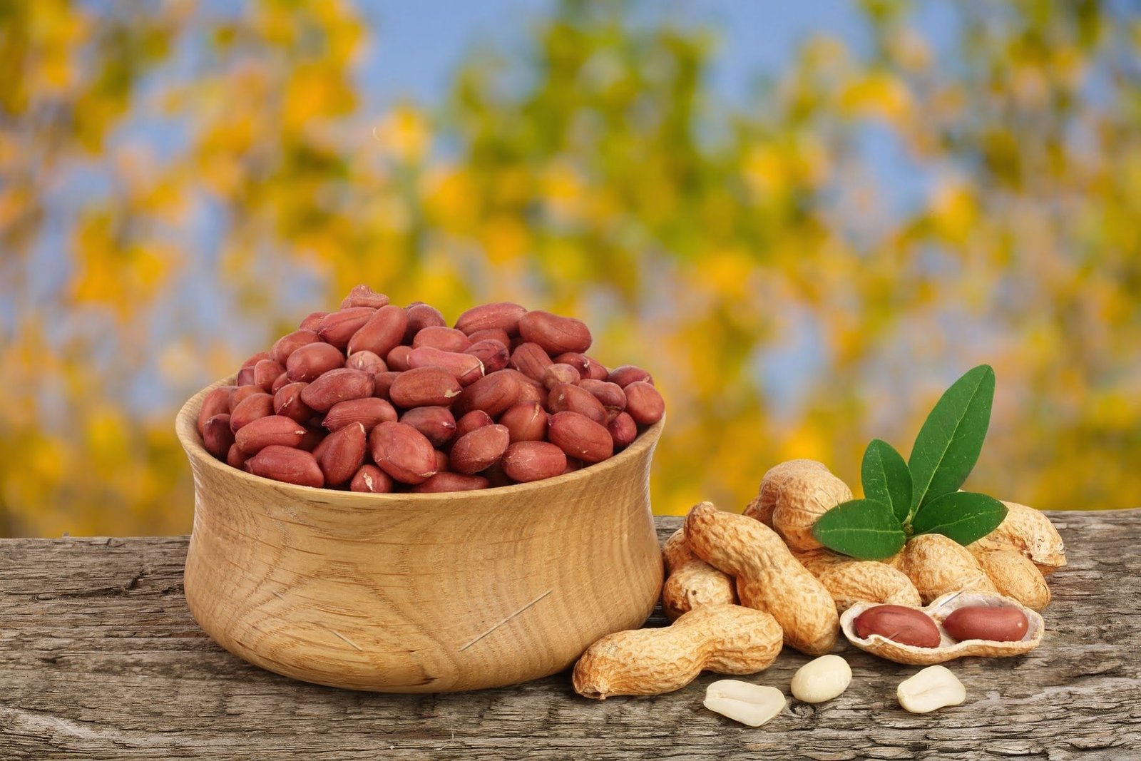 நிலக்கடலை