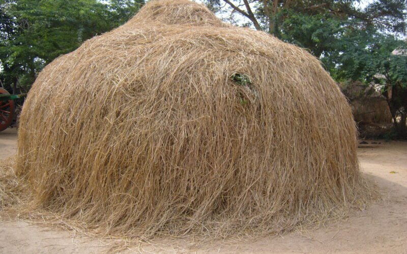 ஊறுகாய்ப்புல் தயாரிப்பு முறைகள்! 1 ஊறுகாய்ப்புல்