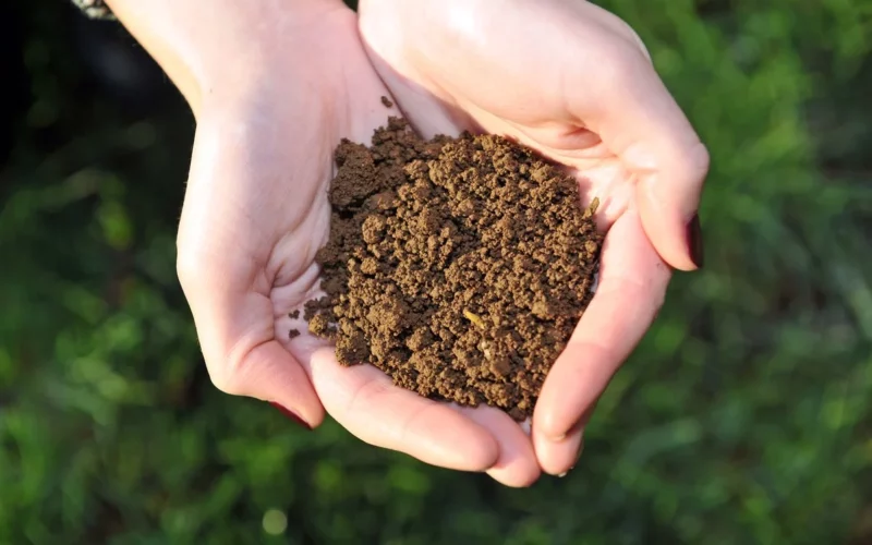 மண்வள அட்டையின் இரகசியங்கள்!