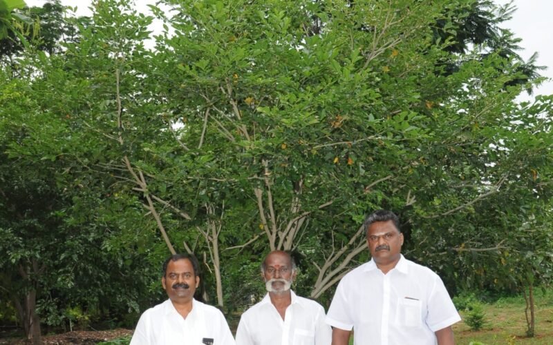 கானாடு காத்தானில் உருவாகும் கானகம்!