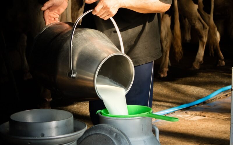 சிறந்த பால் உற்பத்தி உத்திகள்! 1 சிறந்த பால் உற்பத்தி உத்திகள்!