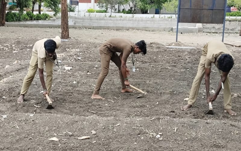 பழமையான விதைப் படுக்கையின் முக்கியத்துவம்!