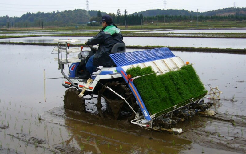 நெல் நடவும் நவீனக் கண்டுபிடிப்புகளும்!