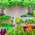 மாடித் தோட்டத்தில் காய்கறி சாகுபடி!