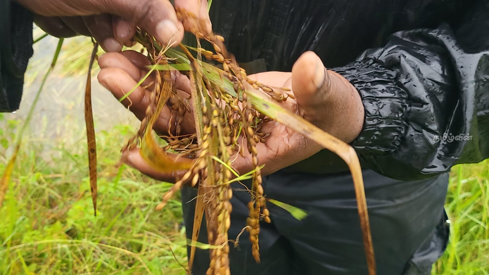 உழவர் உரிமைகள் பாதுகாப்புச் சட்டம்